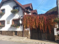 Casa de vacanta Vidrighin 