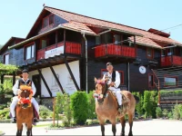 Pensiunea Casa Elena 4*