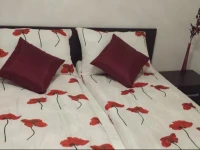 Apartament Amalia 
