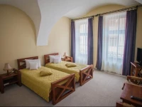 Hotel SighiЕџoara 