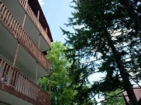 Sinaia Alex Apartments 