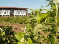 Casa Vlasia 