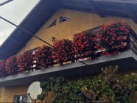 Casa Simona Turda 