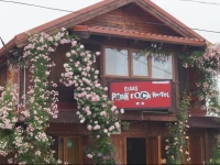 ElgaВґs Punk Rock Hostel 