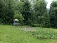 Pensiunea Flori de Camp 