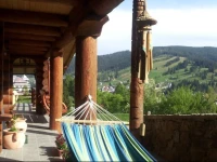 Cabana Vultur 2 