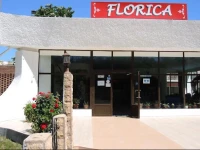 HOTEL IULIA RESORT(FOST HOTEL FLORICA) 