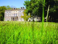 Nanteos Mansion Country House Hotel