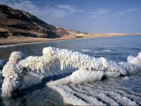РћС‚РµР»СЊ 5