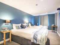 Dolphin Rooms