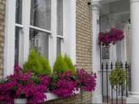 Earls Court Studios