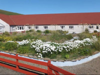 Orkneylodge