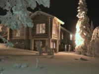 Kaarnikka