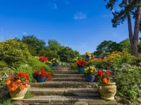 Moorlands Country Guest House 3*