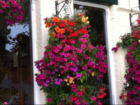 The King Alfred Pub