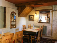 The Dolphin