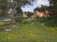 Finca el Rabilargo 
