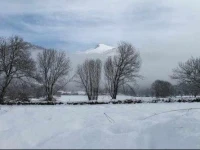 Casa Adolfo 