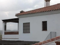 Finca los tres olivos 