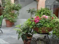 Hotel Maestre 