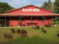 Hotel Fazenda Santa Tereza 2*
