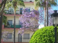 Apartment Ricardo Soriano 