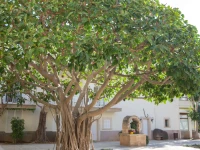 Hotel Castell dels Hams 
