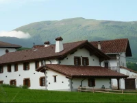 Adipe 