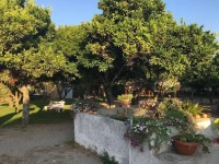 La Purissima 