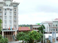 Hoa Nam Hotel 3*
