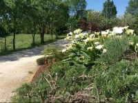 B&B Asolo Casapagnano 
