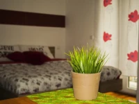 Apartment Fewo 