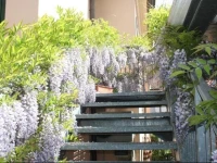 Hotel Villa Grazia 1*