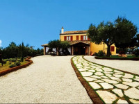 Briciola di Sole