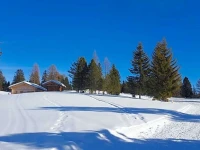 Hotel Bischofhof 3*