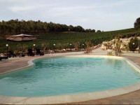 Agriturismo Tenute Pispisa Segesta