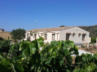 La Suite Di Segesta