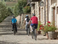 Azienda Agrituristica Bergi 3*