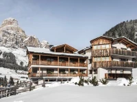 Hotel Villa Tony 3*