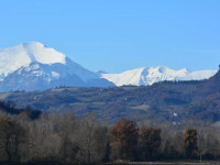 Residence Sinfonie del Bosco