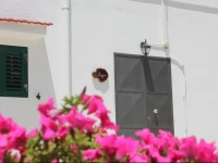 Country House Ostuni 