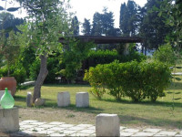 Agriturismo Podere San Michele