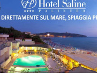 Hotel Saline