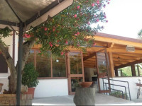 Il Moro della Molpa