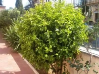 La Casetta Gialla di Edoardo 