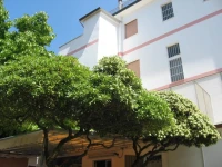 Hotel Eleonora 1*