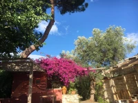 Tenuta TerraRossa 