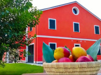 Agriturismo Rossococomero