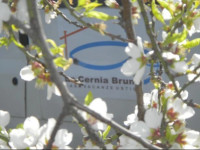 Case Vacanze La Cernia Bruna
