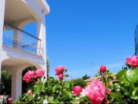 Hotel La Tartaruga Bianca 3*